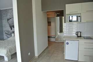 Апартаменты Квартира люкс посуточно Киев Улучшенные апартаменты-16