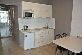 Апартаменты Квартира люкс посуточно Киев Улучшенные апартаменты-22