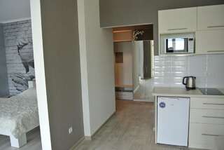 Апартаменты Квартира люкс посуточно Киев Улучшенные апартаменты-6